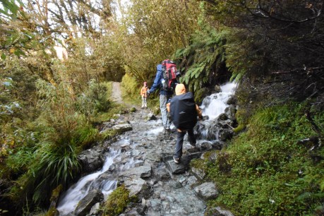 hiking safety tips