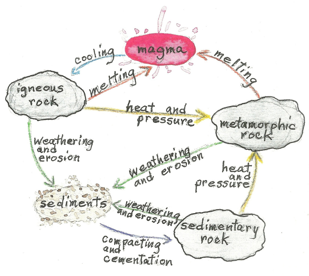 the-diagram-shows-part-of-the-rock-cycle