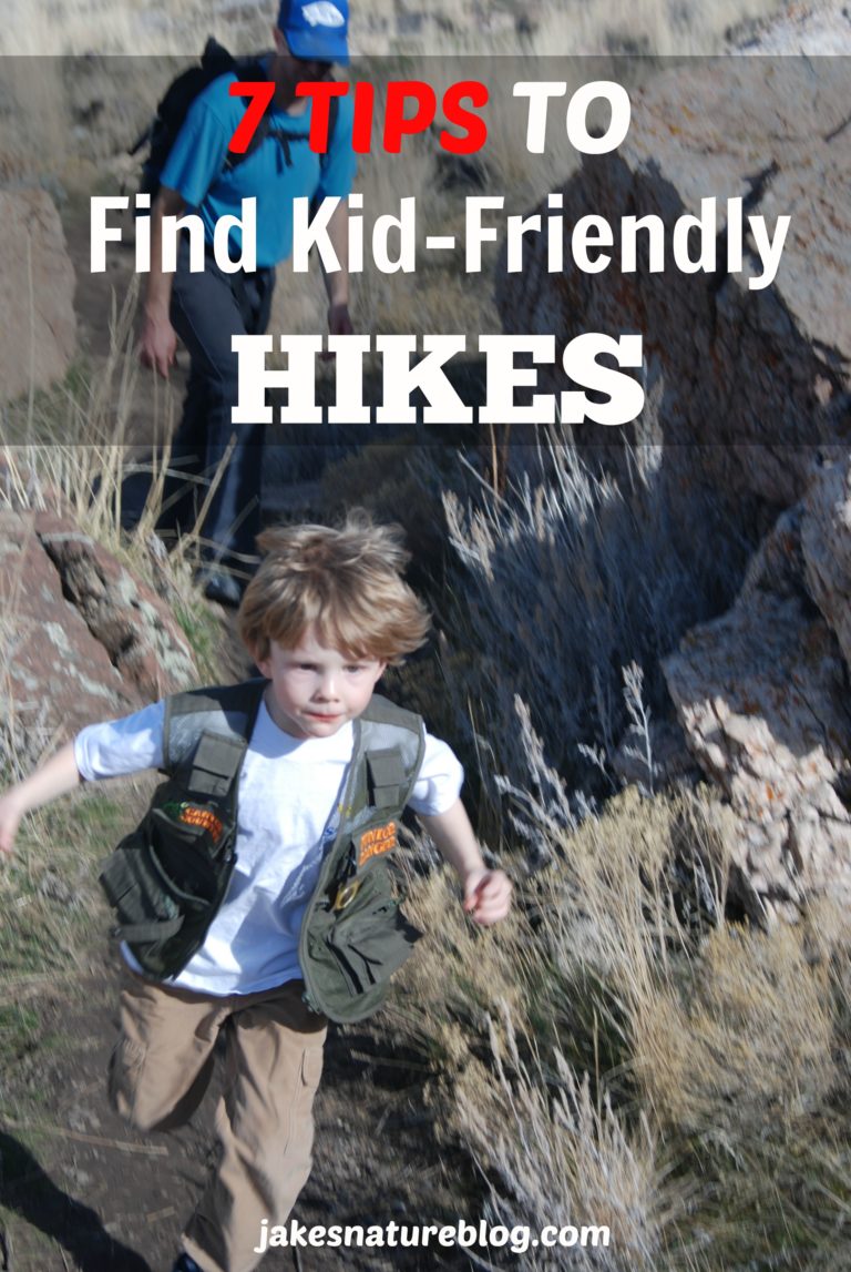 7 Tips To Find KidFriendly Hikes Near You Jake's Nature Blog