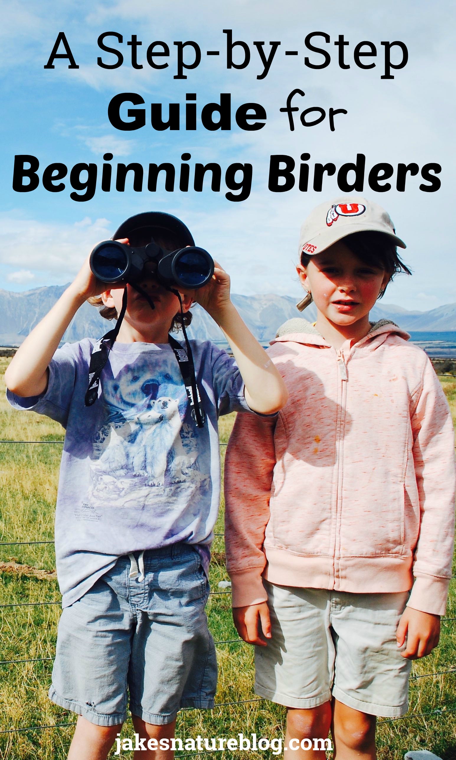 A Step By Step Guide For Beginning Birders Jakes Nature Blog 2183