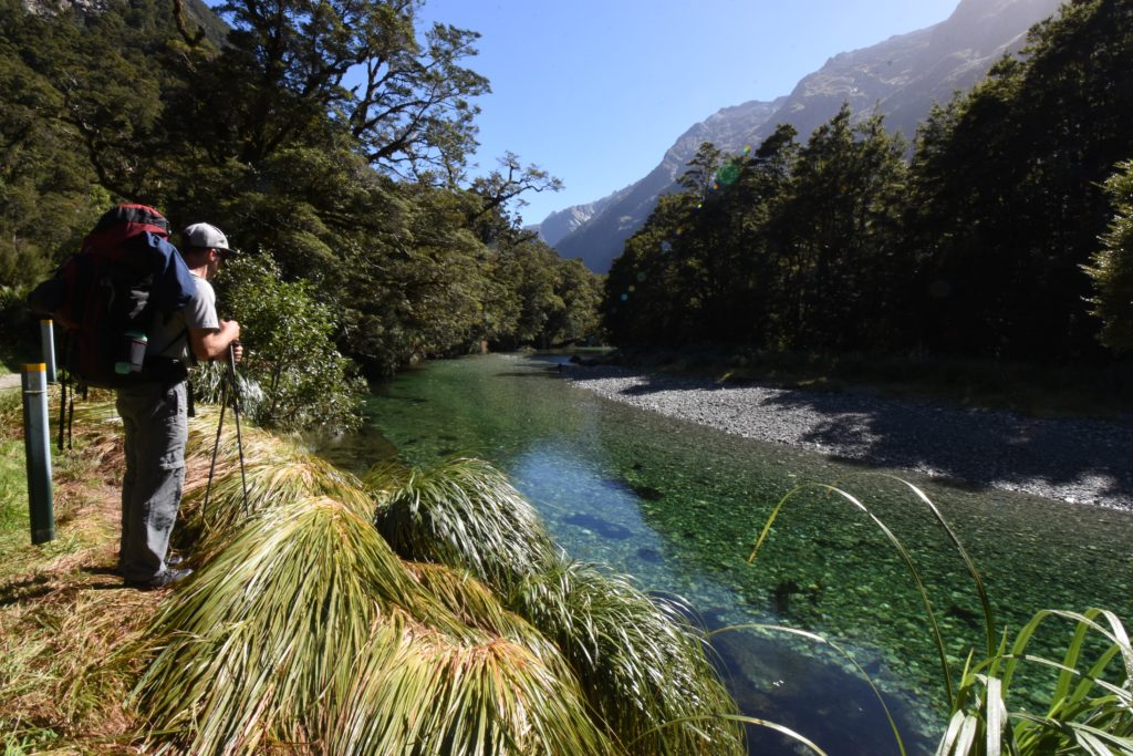 Time To Book New Zealand's Great Walks! - Jake's Nature Blog